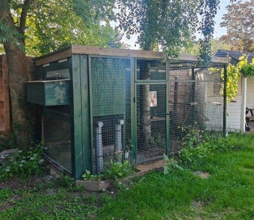 Kippenhok, ren, metaal, hek, Ophalen of Verzenden, Gebruikt