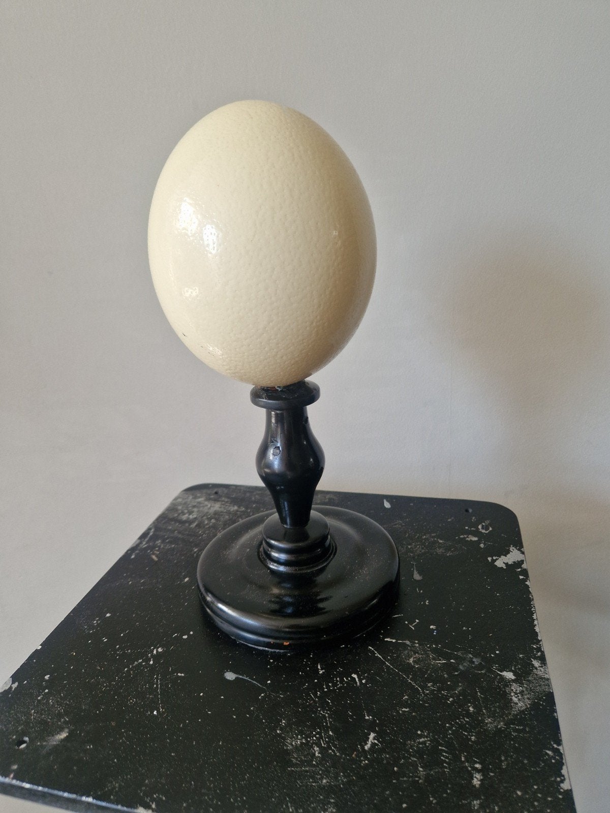 struisvogel emoe ei brocante curiosa, Ophalen