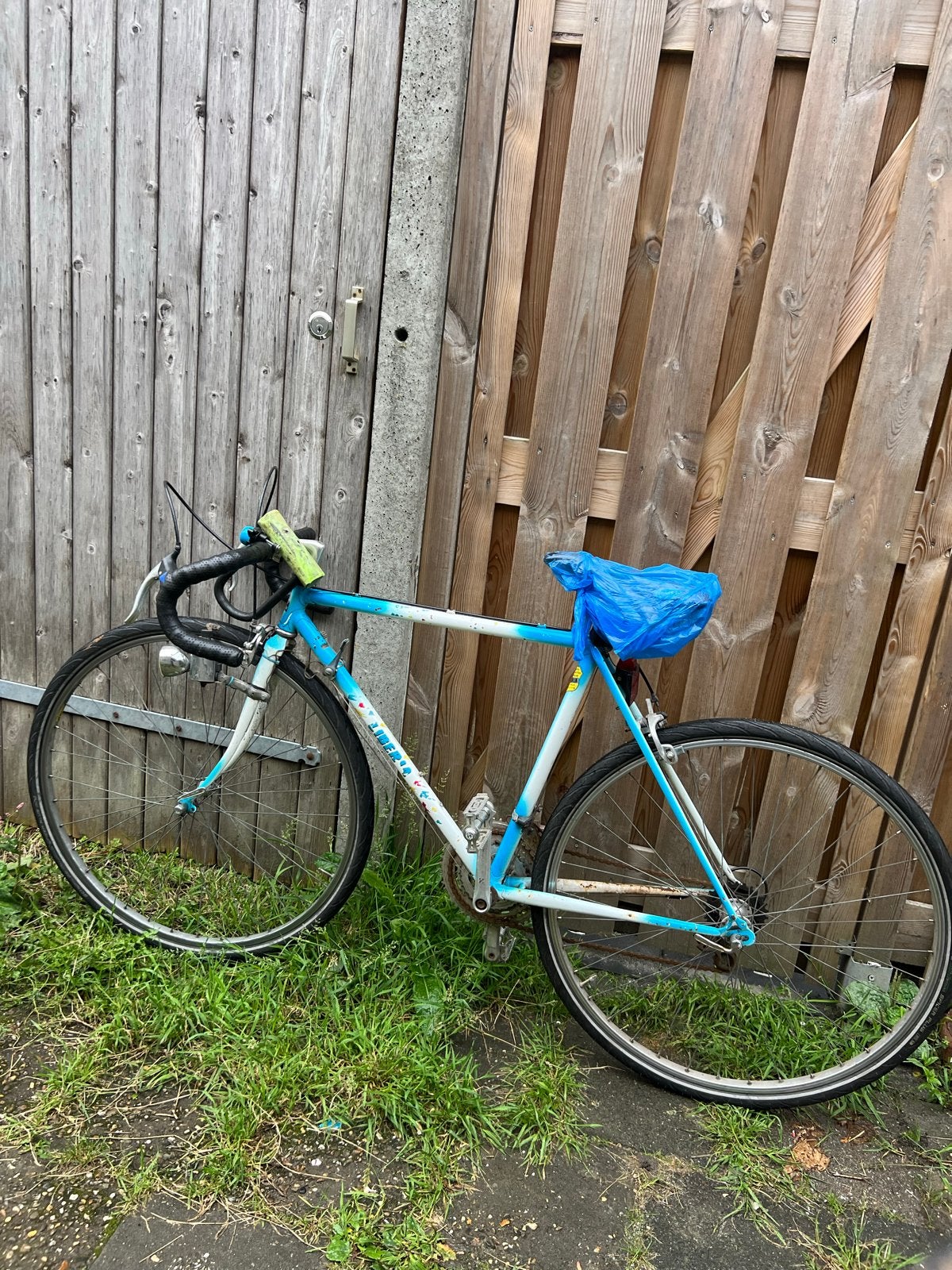 Vintage racefiets — Vintage Racebike, Fietsen en Brommers, Gebruikt, 49 tot 53 cm, Dames, Ophalen