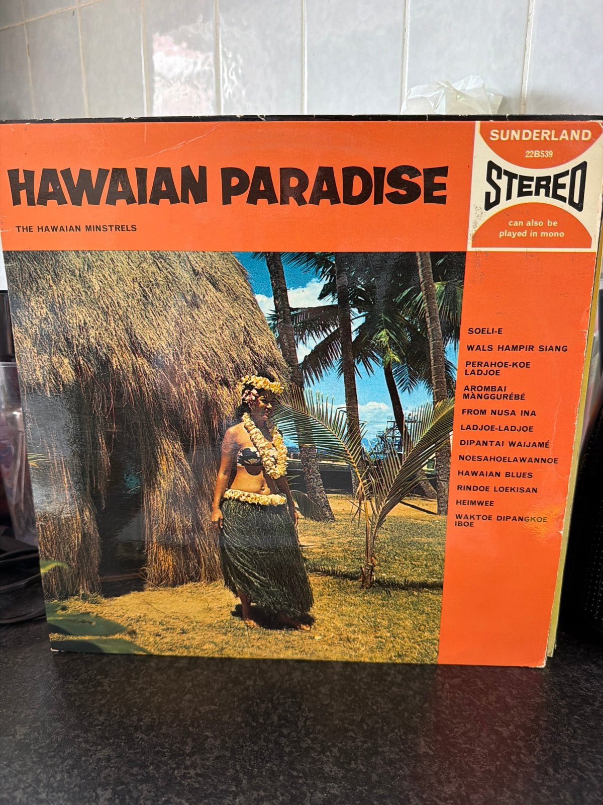 1.  Hawaiian Paradise - The Hawaiian Minstrels LP (Stereo), Gebruikt, Ophalen of Verzenden, 12 inch, Overige genres