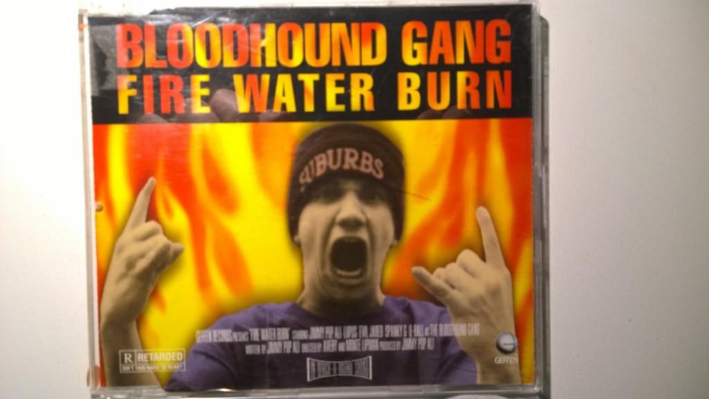 Bloodhound Gang - Fire Water Burn, Cd's en Dvd's, Ophalen of Verzenden, Zo goed als nieuw, Pop