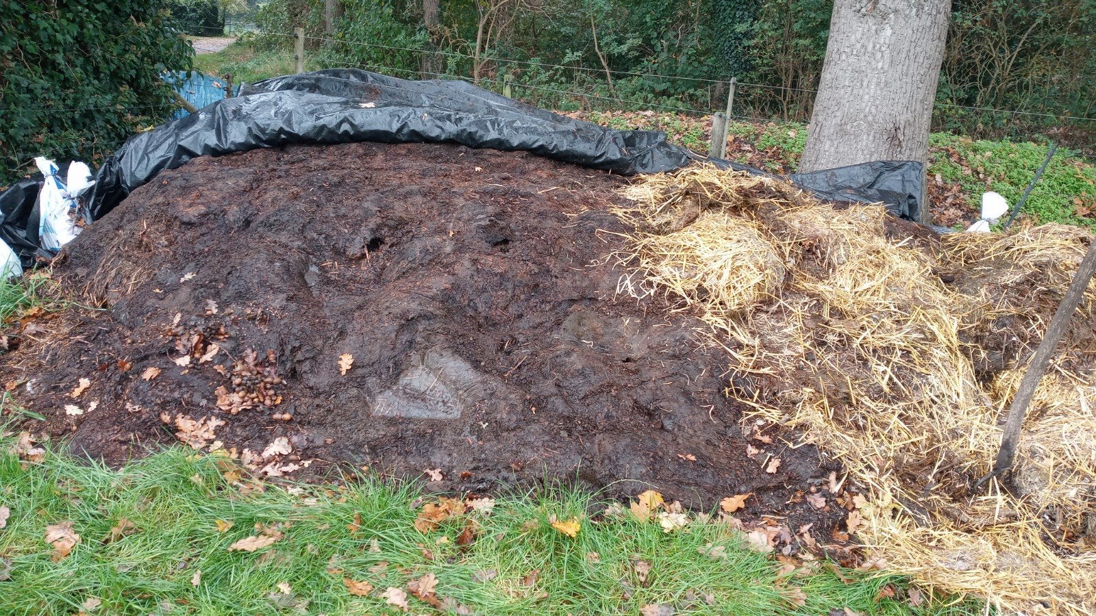 Vaste stalmest, Tuin en Terras, Aarde en Mest, Ophalen, Tuinaarde