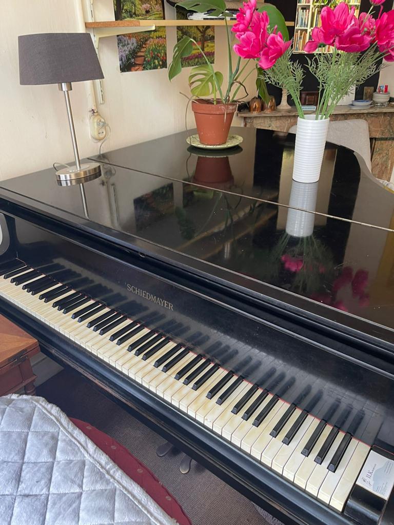 Schiedmayer vleugel, Muziek en Instrumenten, Piano's, Ophalen, Gebruikt, Zwart, Vleugel