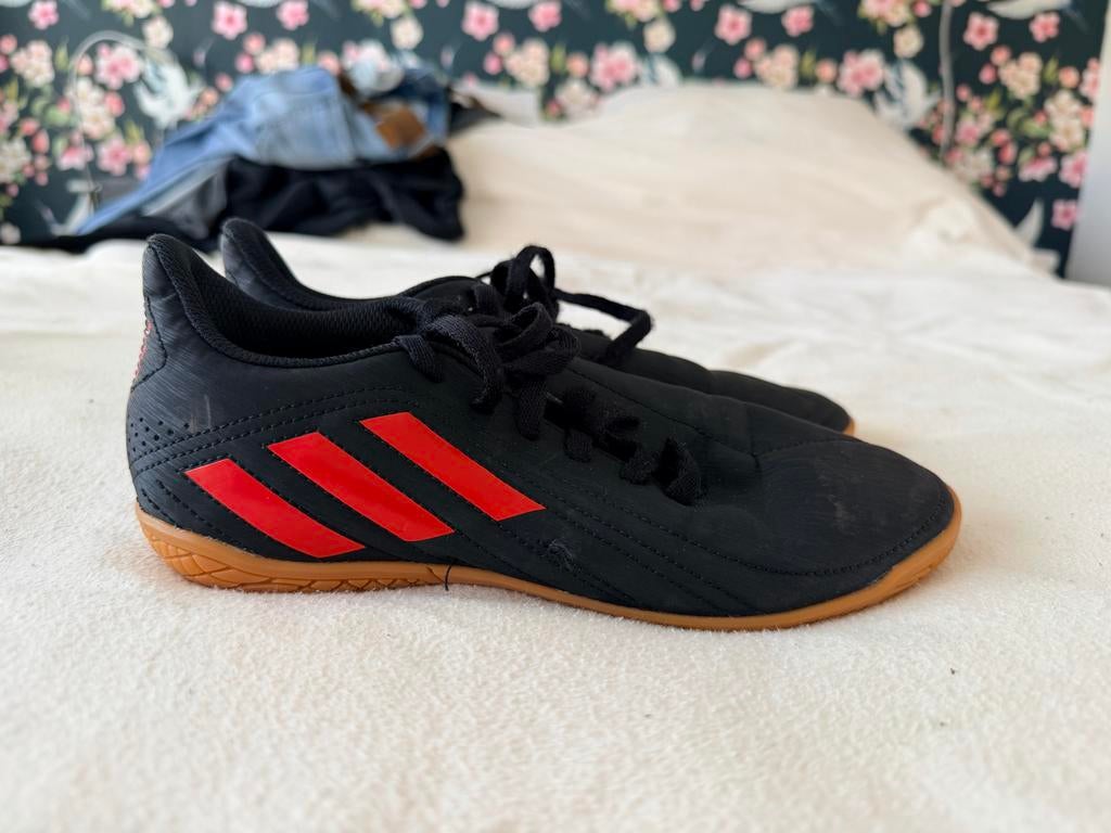 Adidas zaalvoetbalschoenen maat 37,5, Ophalen of Verzenden, Zo goed als nieuw, Schoenen