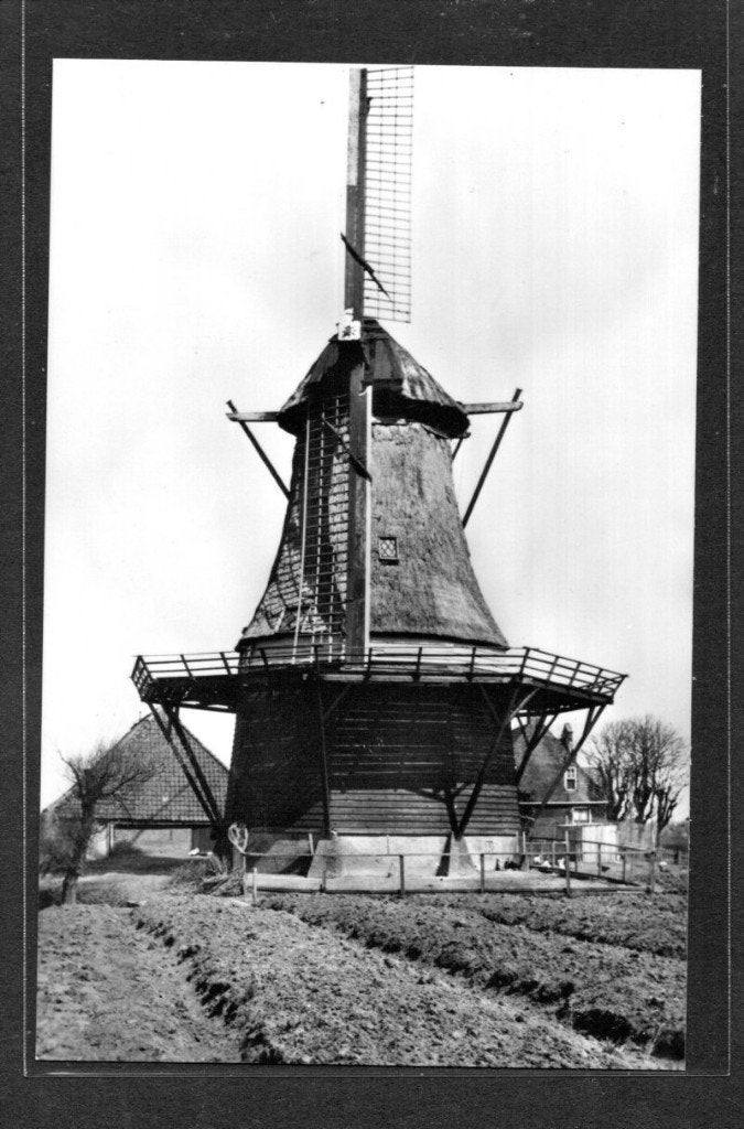 molen; Korenmolen Het Bruin Paard te Ferwerd., Verzenden, 1960 tot 1980, Ongelopen, Friesland