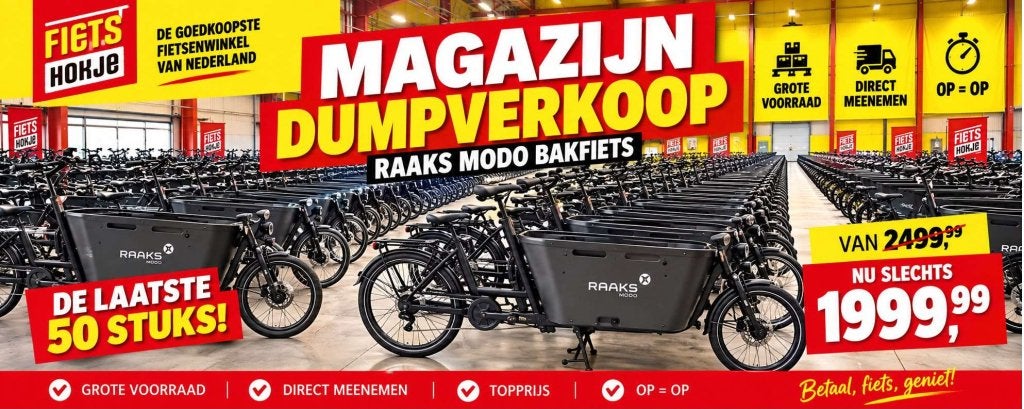 MEGA DUMP Elektrische bakfiets tweewieler van 2999 voor 1999