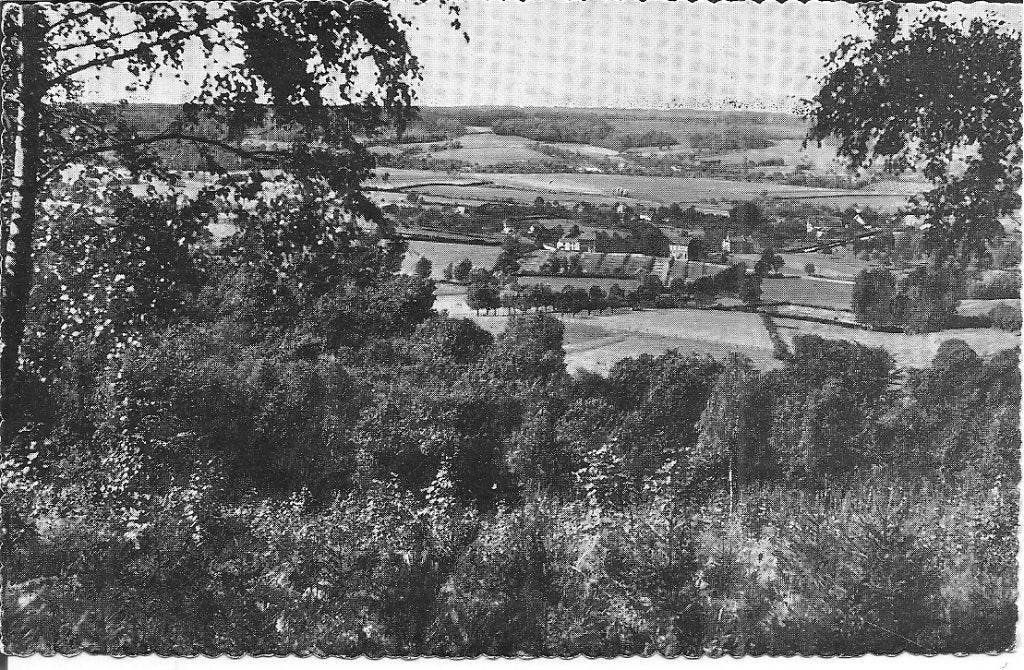 Oude ansichtkaart Vaals Wolfhaag vanuit het Vaalser Bos, Ophalen of Verzenden, 1960 tot 1980, Ongelopen, Limburg
