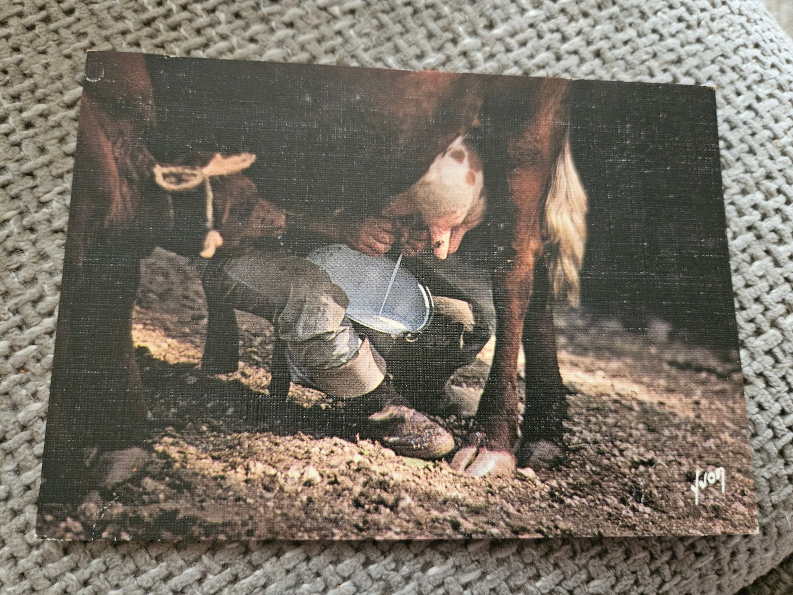 Boer Melkt Koe, Ophalen of Verzenden, 1960 tot 1980, Gelopen