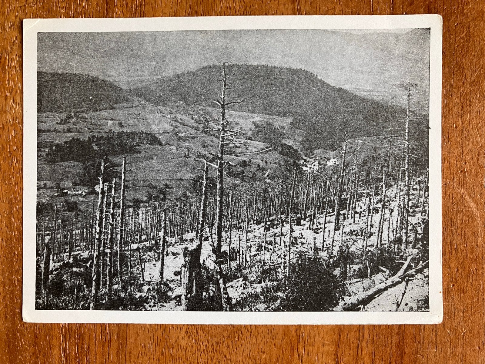 Slagveld Linge 1914-1918. Reprint, Ophalen of Verzenden, Overige gebieden, Foto of Poster