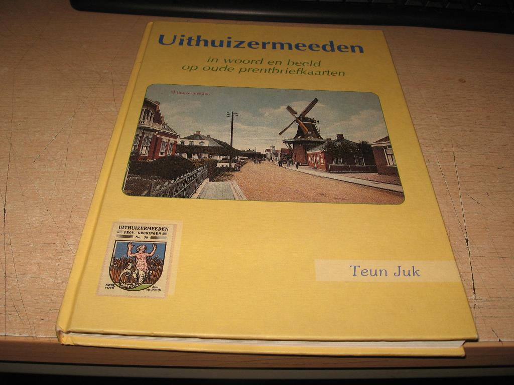 Uithuizermeeden in woord en beeld op oude prentbriefkaarten, Ophalen of Verzenden, Zo goed als nieuw