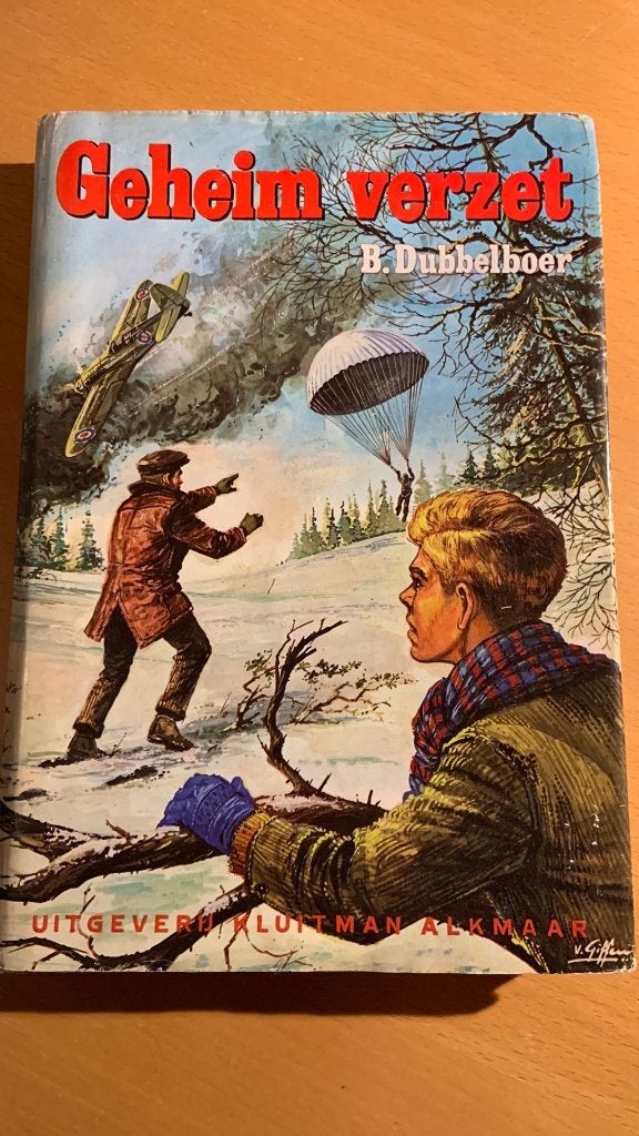 Geheim verzet - B. Dubbelboer, Boeken, Ophalen of Verzenden, Tweede Wereldoorlog, Zo goed als nieuw