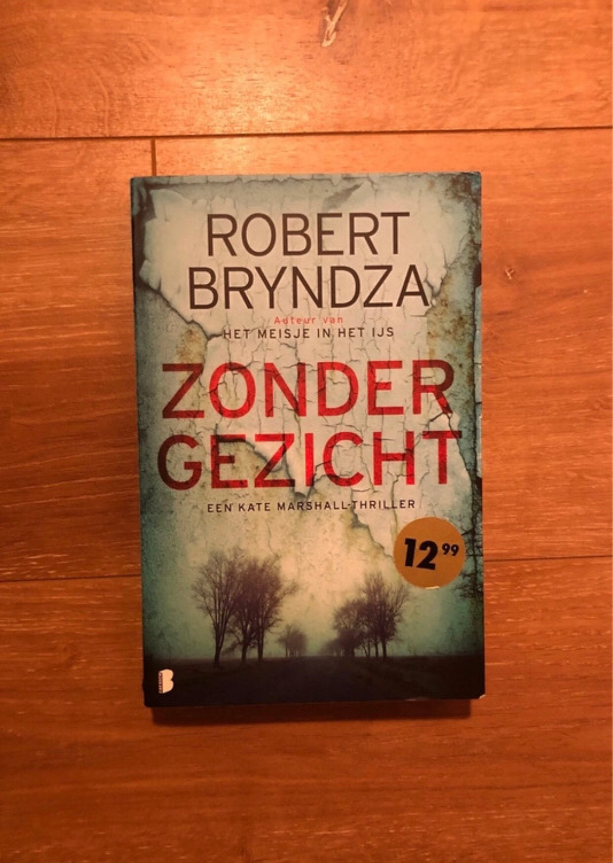 Robert Bryndza - Zonder Gezicht, Ophalen of Verzenden, Zo goed als nieuw