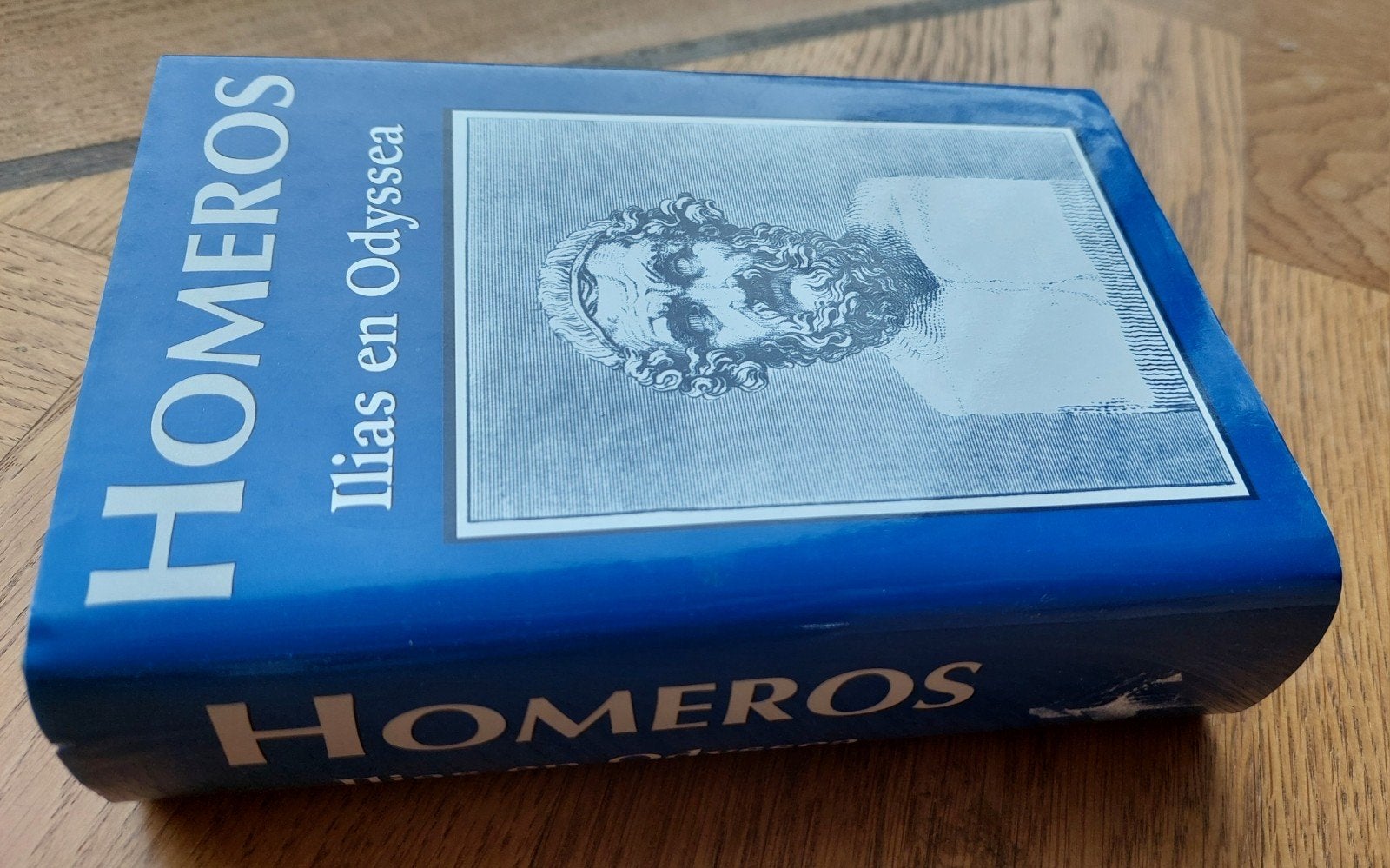 Homeros - Ilias en Odyssee (Nieuwstaat), Ophalen of Verzenden, Nieuw, Homeros, Europa overig