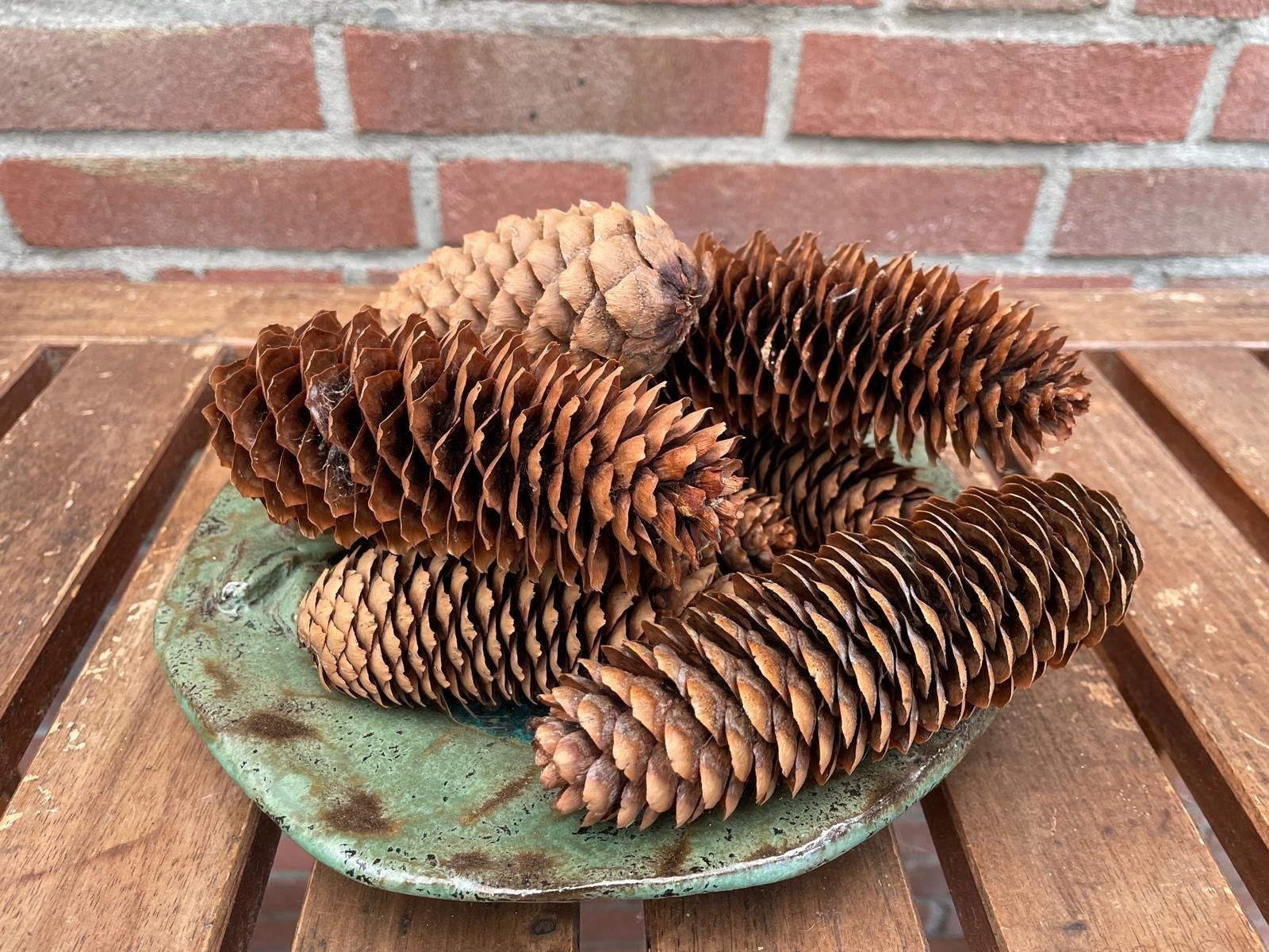 Dennenappels - Natuurlijke Decoratie, Gebruikt, Ophalen of Verzenden, Landelijk, Natuurlijk materiaal