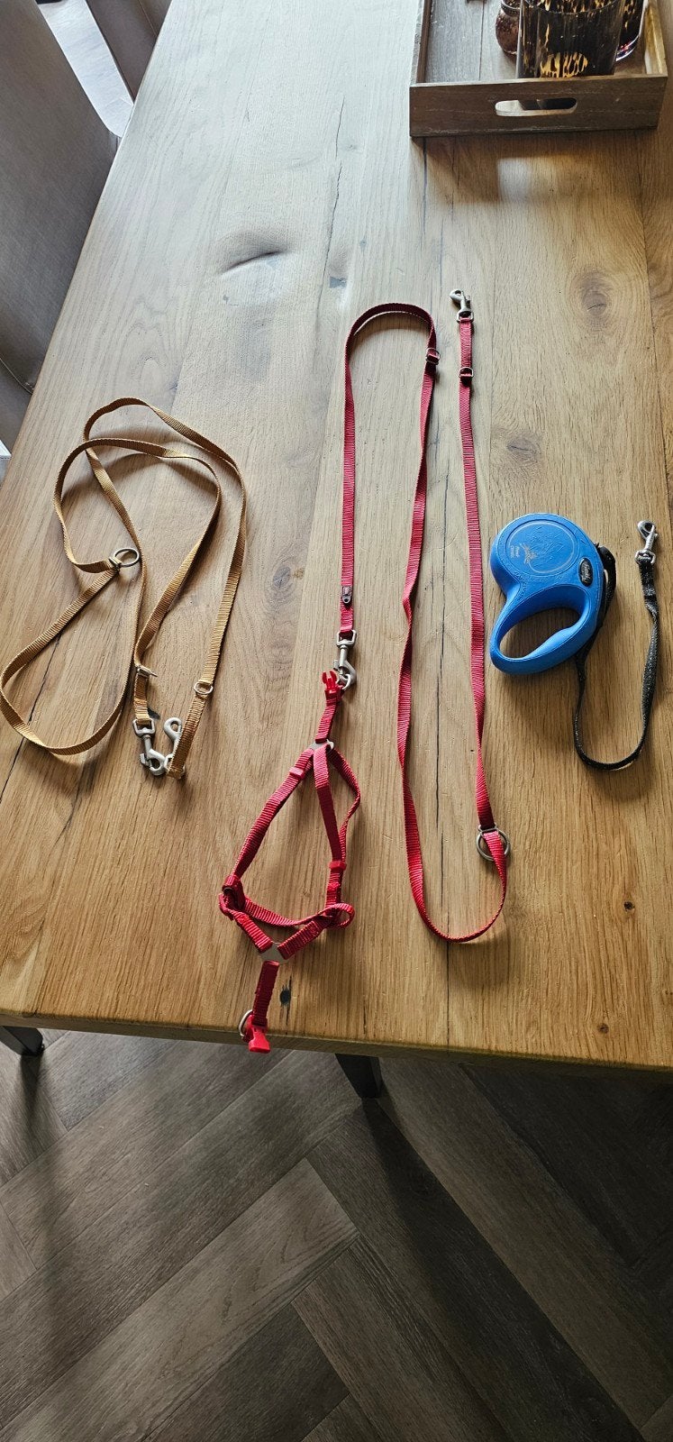 Puppy ( of kleine hond) riemen/ looplijnen, Ophalen