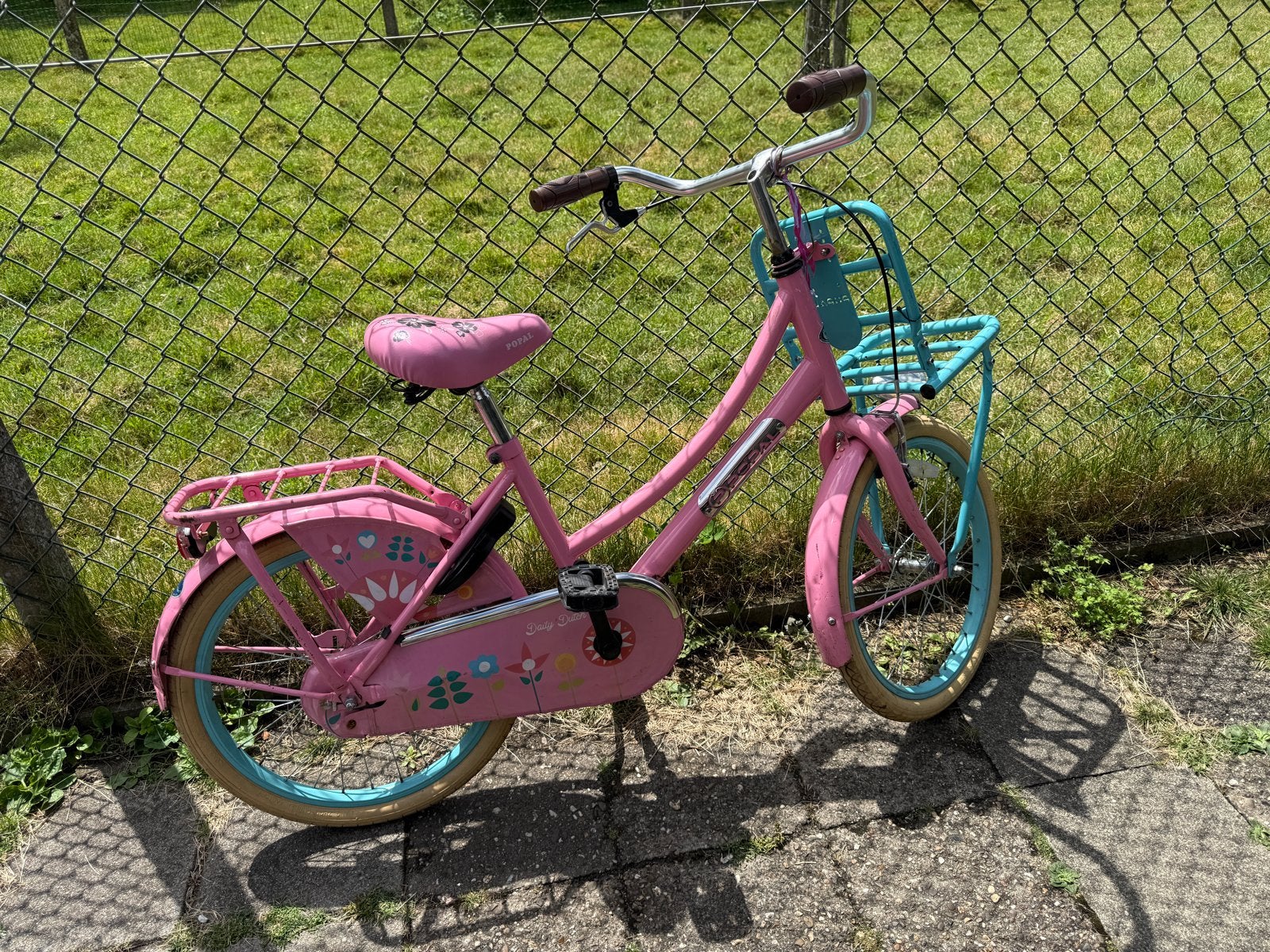 Roze Kinderfiets 20 inch met rekje, Ophalen, Gebruikt, Terugtraprem, 20 inch of meer