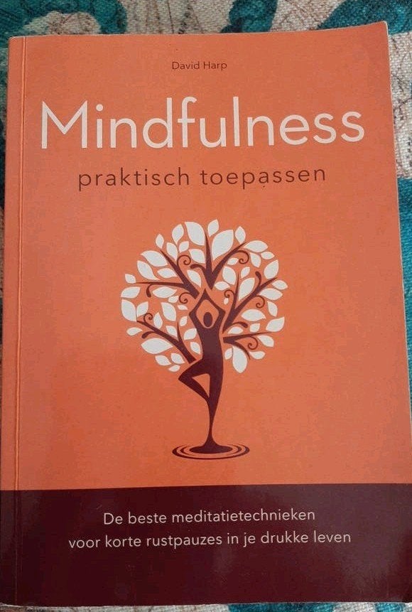 David Harp Mindfulness, Boeken, Gelezen, Meditatie of Yoga, David Harp, Ophalen of Verzenden