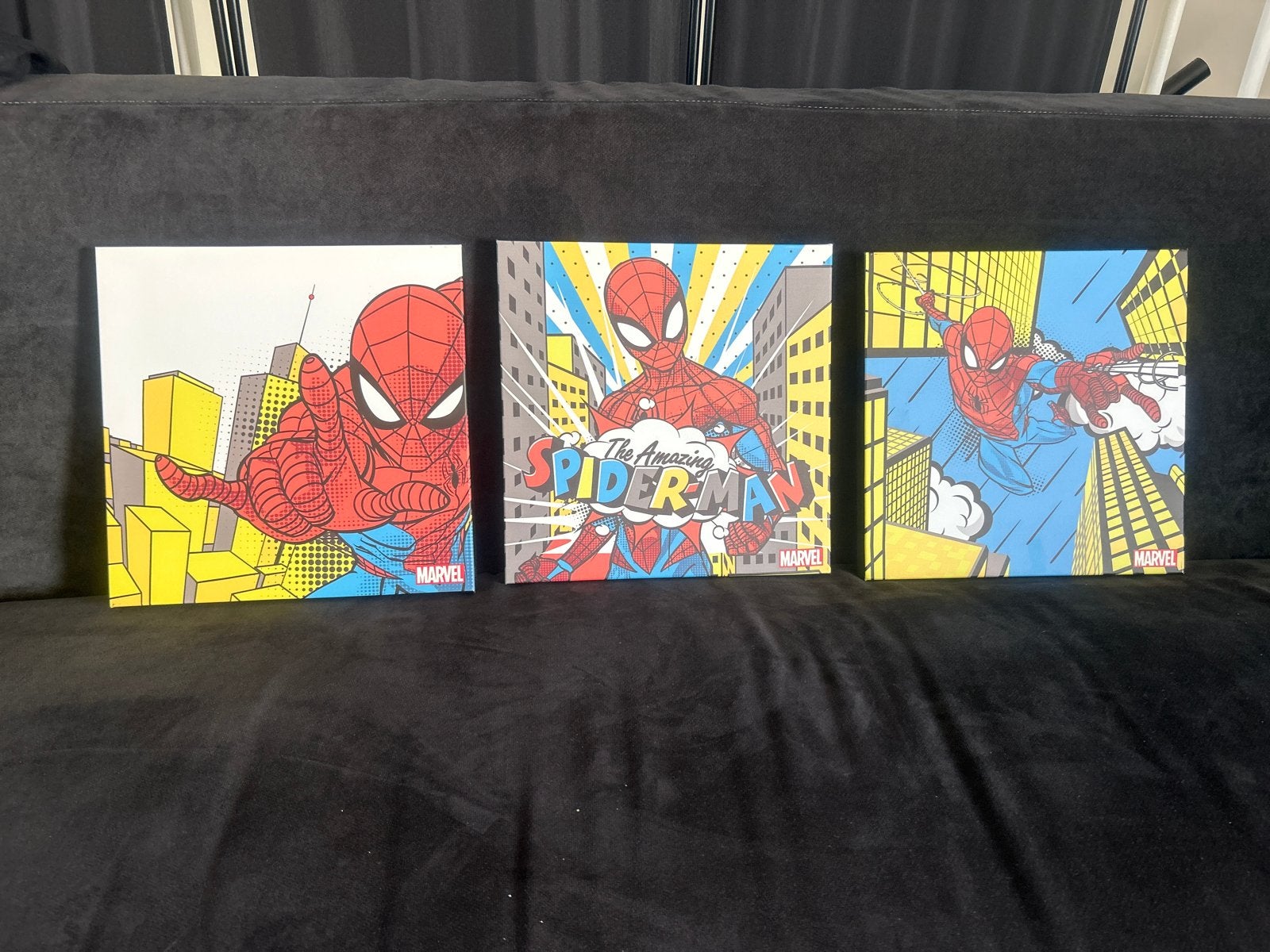 Set van 3 Spider-Man Canvas Schilderijen, Ophalen, Minder dan 50 cm, Zo goed als nieuw, Schilderij