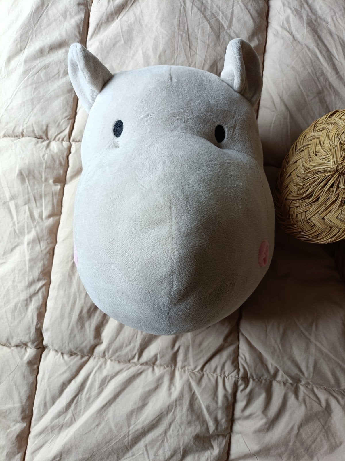 dierenkop knuffel voor aan de muur, Ophalen, Zo goed als nieuw, Wanddecoratie