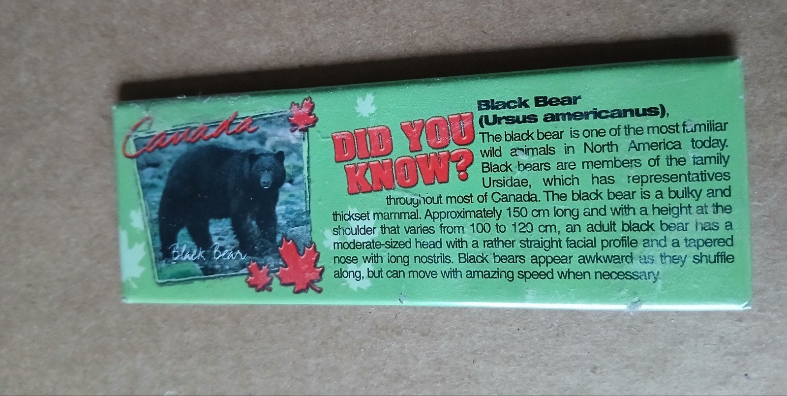 Koelkastmagneet Canada Zwarte Beer Souvenir, Ophalen of Verzenden, Gebruikt