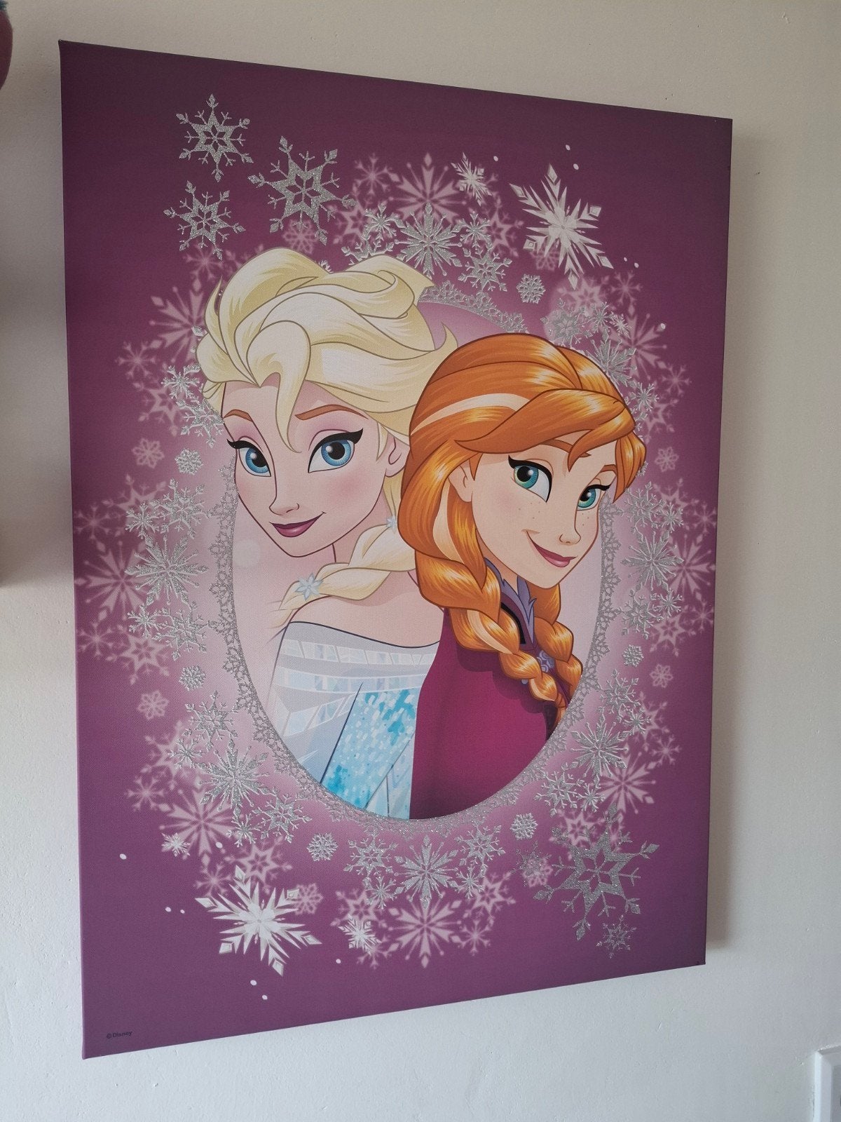 Frozen canvas schilderij, 50 – 75, Ophalen of Verzenden, Zo goed als nieuw, Schilderij
