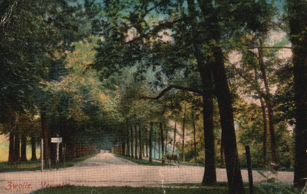 Zwolle, Veerallee (Jaren 20) 131443, Ophalen of Verzenden, 1920 tot 1940, Gelopen, Overijssel