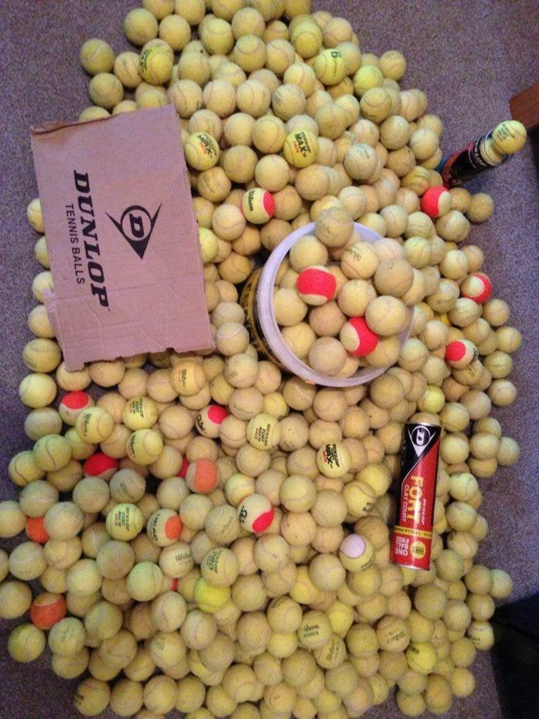 mooie tweedehands tennisballen, Overige merken, Ophalen of Verzenden, Gebruikt, Hondenspeelgoed