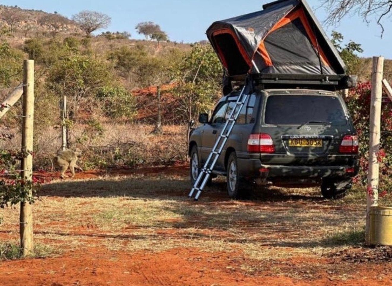 MG Rooftent 145 Hardtop | Incl. GRATIS bonusset, Ophalen, Nieuw, Tot en met 2