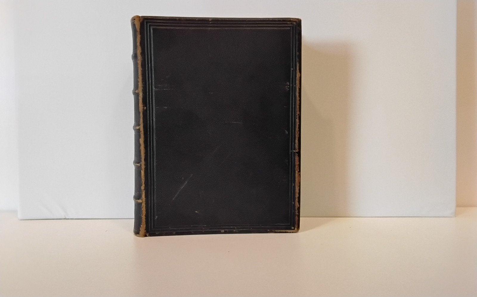 Antieke Heilige Bijbel - The Holy Bible (1884), Ophalen of Verzenden, British and Foreign Bible Society