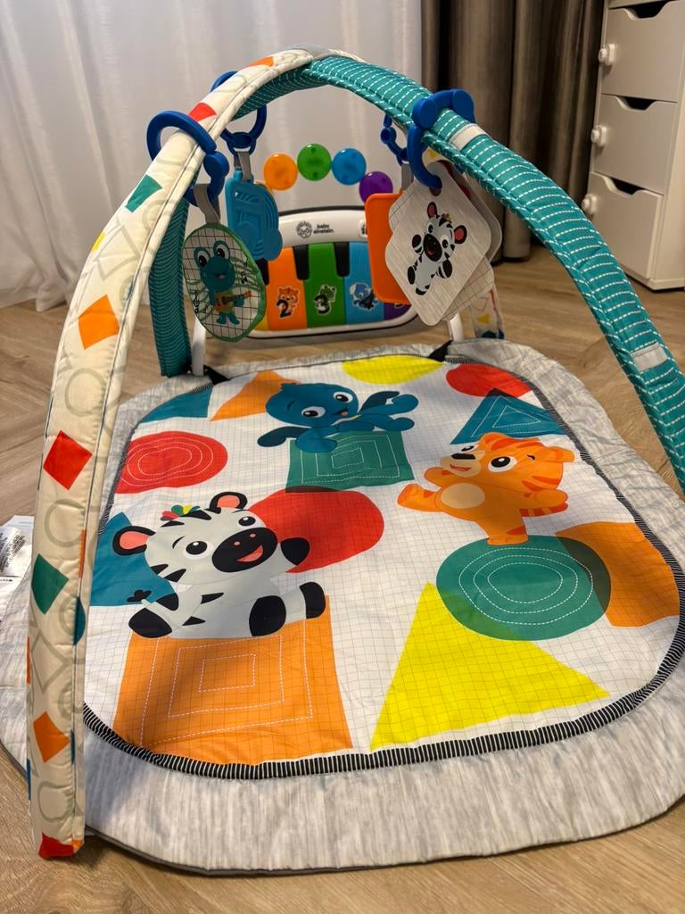 Speelkleed 4in1 Baby Einstein Speelgym, Kinderen en Baby's, Ophalen, Zo goed als nieuw