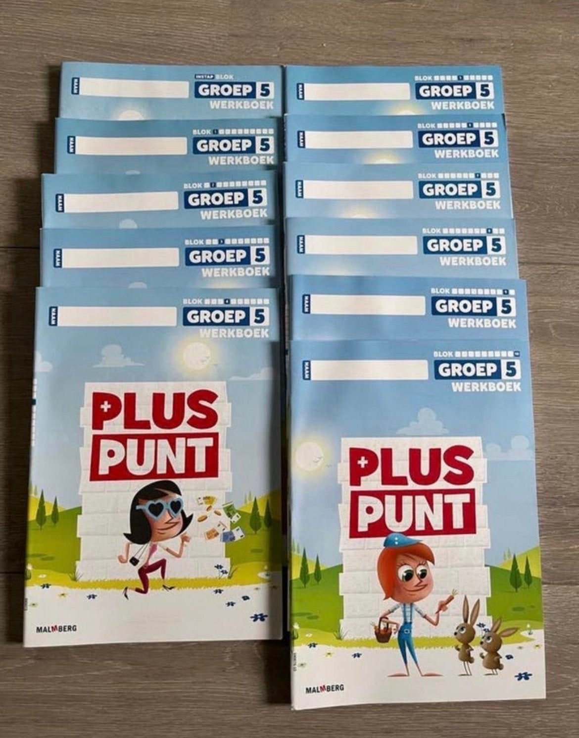Pluspunt Rekenwerkboeken Groep 5 - Complete Set Nieuw!, Ophalen of Verzenden, Nieuw, Overige niveaus, Overige vakken