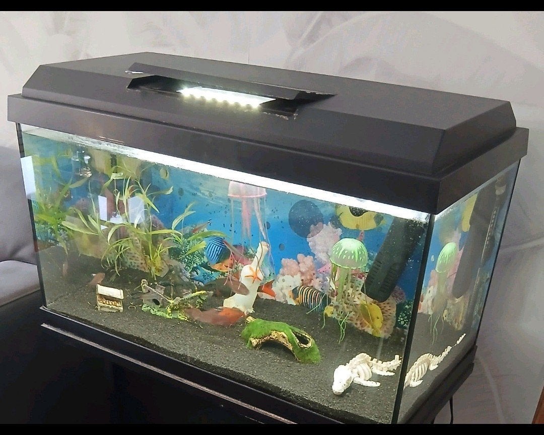 Juwel 60 liter aquarium, Ophalen, Zo goed als nieuw, Leeg aquarium, Juwel