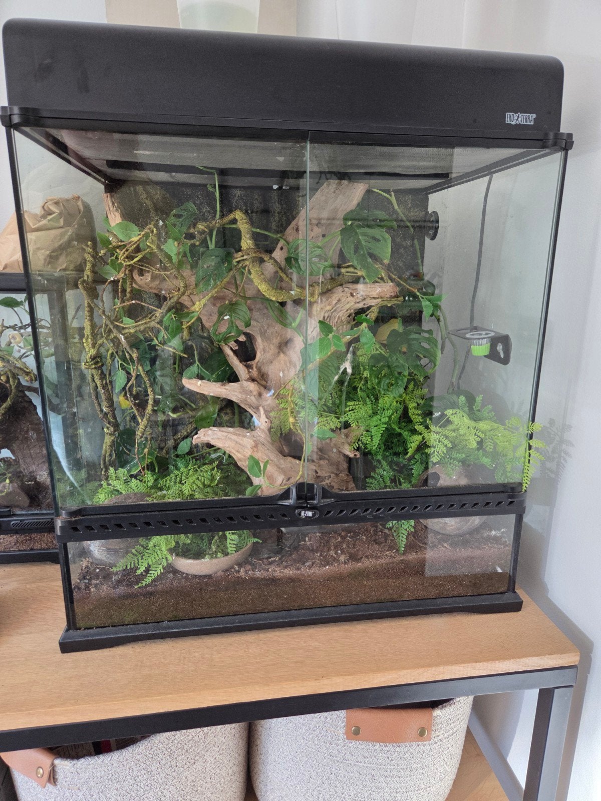 terrarium exo terra, Dieren en Toebehoren, Ophalen, Zo goed als nieuw