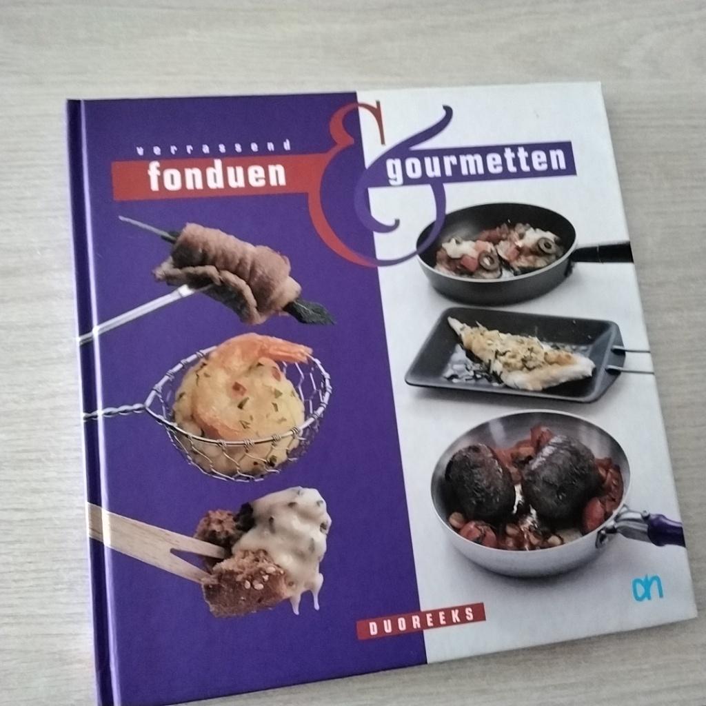 Verrassend fonduen & gourmetten, Boeken, Kookboeken, Ophalen of Verzenden, Gelezen