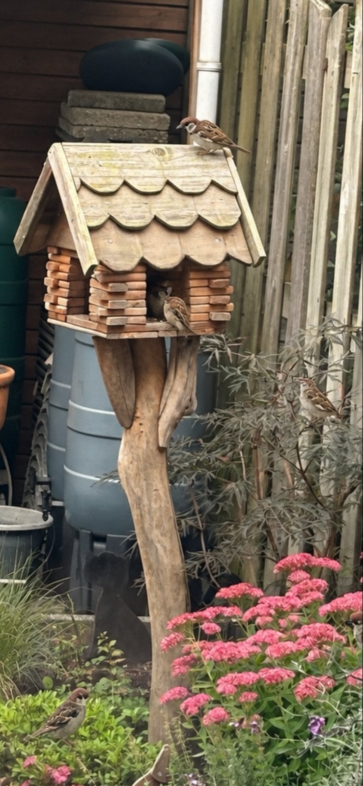 Houten Vogelhuisjes - Los of op Paal, Ophalen, Nieuw