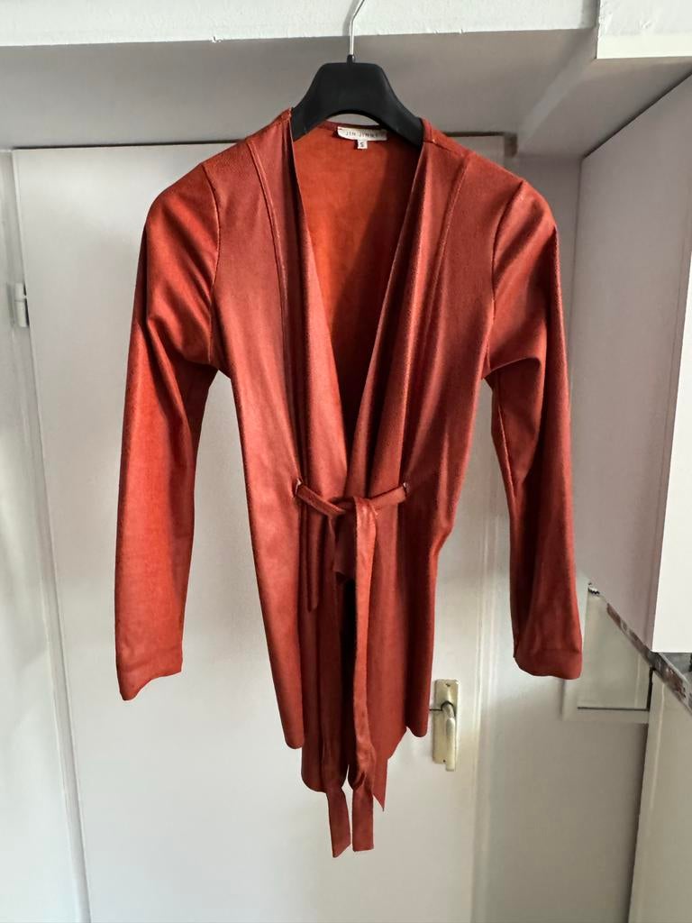 Nieuw Jin Jinny jasje/vest - Maat S, Kleding | Dames, Truien en Vesten, Ophalen of Verzenden, Nieuw, Maat 36 (S), Rood