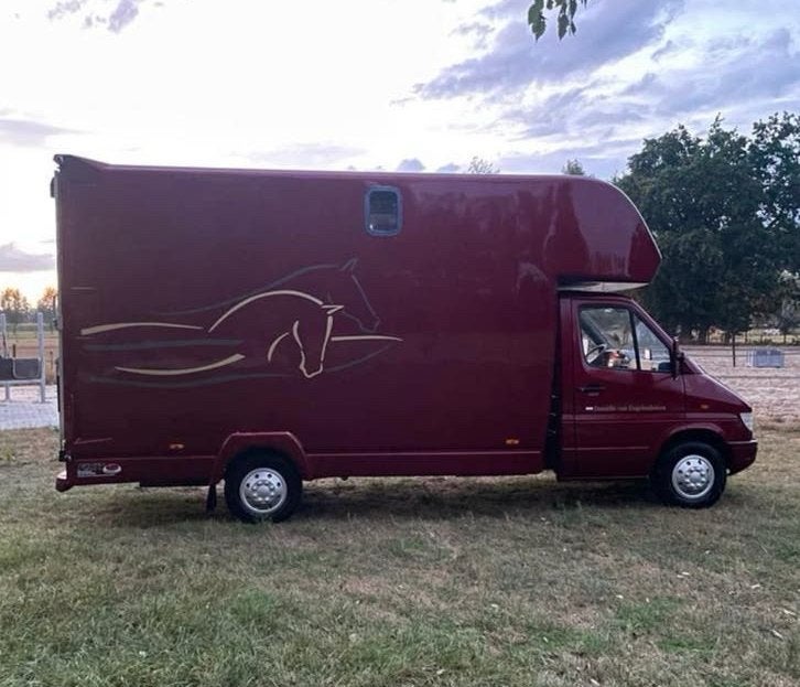 2/3 paards paardenwagen te koop, Ophalen, Gebruikt, Polyester, 3-paards trailer