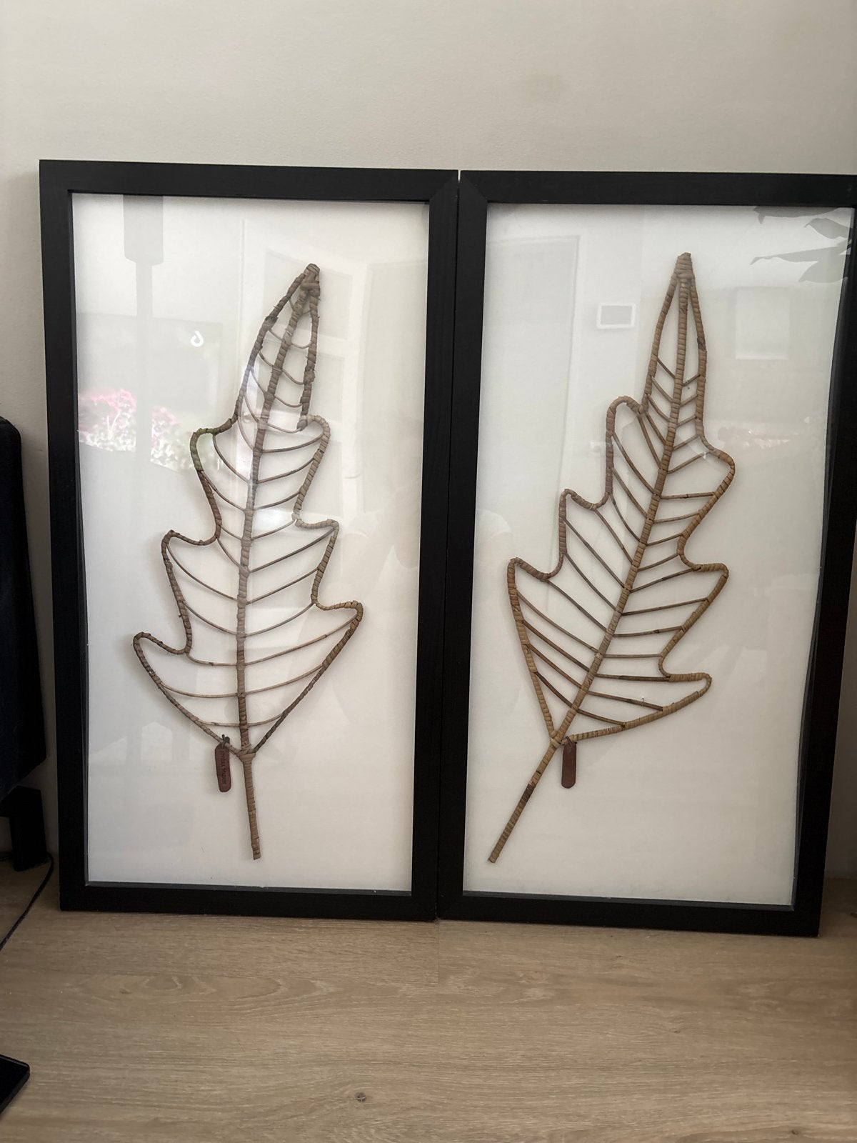 Set van 2 ingelijste rotan bladeren wanddecoratie, Ophalen of Verzenden, Zo goed als nieuw, Modern, Bruin