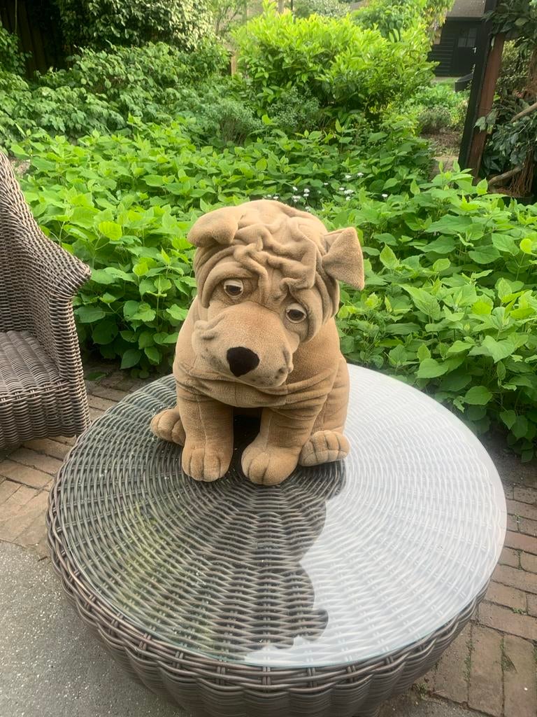 Grote Shar-Pei knuffel - Zo goed als nieuw, Overige merken, Overige karakters, Zo goed als nieuw, Middelgroot (20 tot 80 cm)