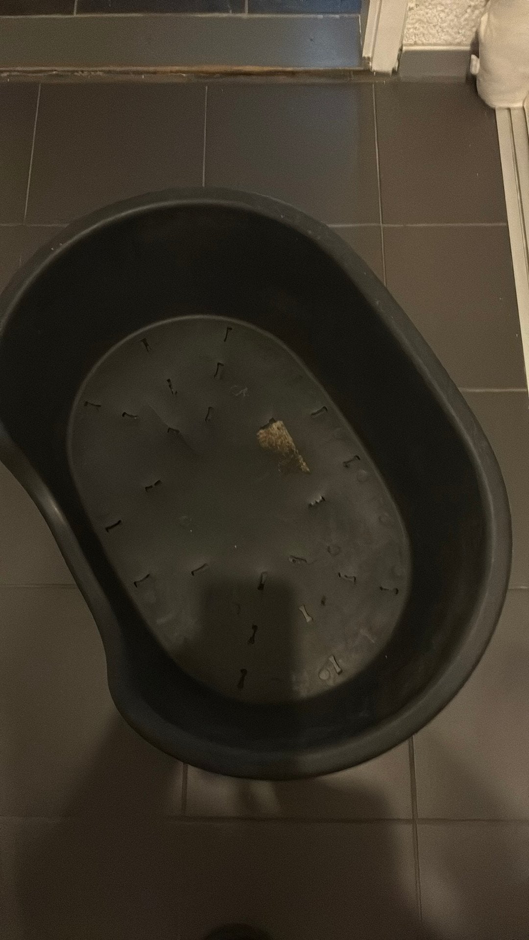 Hondenmand, Dieren en Toebehoren, Hondenmanden, Ophalen, Gebruikt