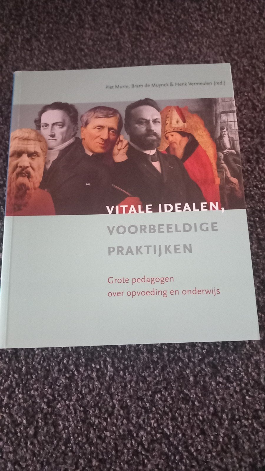 Vitale idealen, voorbeeldige praktijken, Ophalen of Verzenden, Zo goed als nieuw, Sociale wetenschap