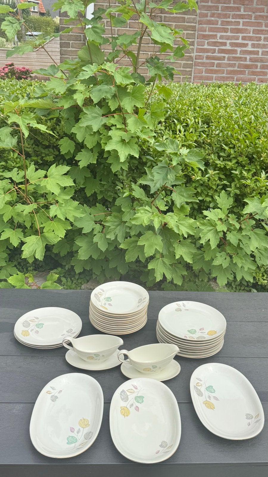 29-delig Winterling servies met bloemmotief, Ophalen of Verzenden