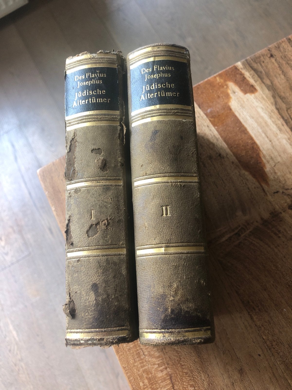 Des Flavius Josephus Jüdische Altertümer - 2 delen, Ophalen of Verzenden
