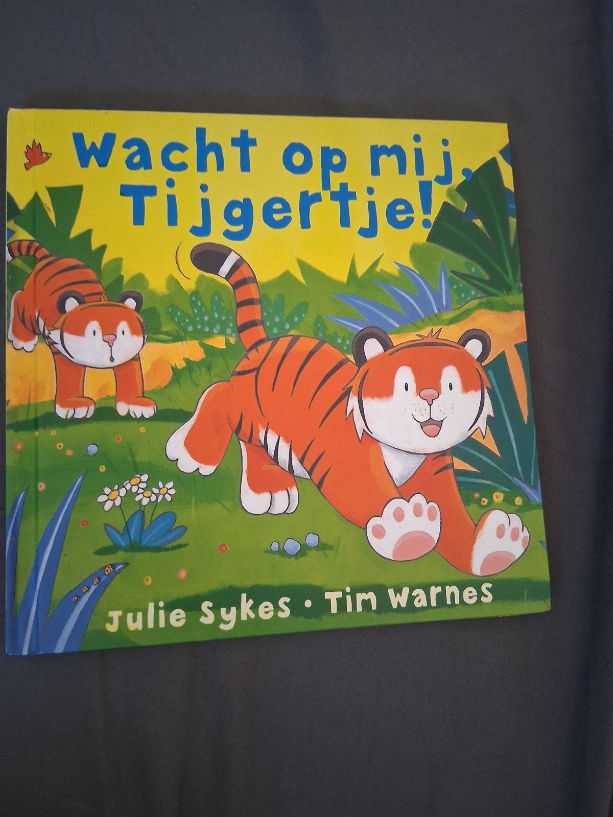 Wacht op mij, Tijgertje! - Julie Sykes & Tim Warnes, Ophalen of Verzenden, Zo goed als nieuw, Julie Sykes, Tim Warnes, 2 tot 3 jaar