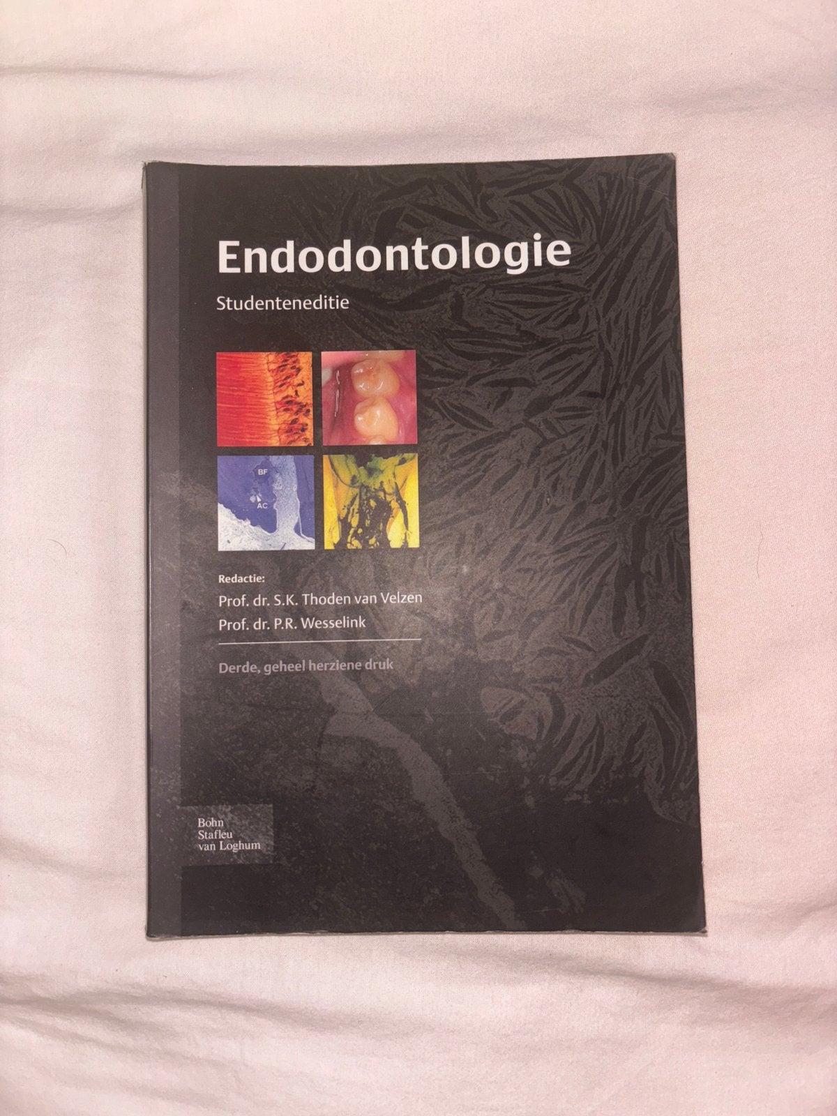Endodontologie, Boeken, Ophalen of Verzenden, Beta, Zo goed als nieuw, HBO