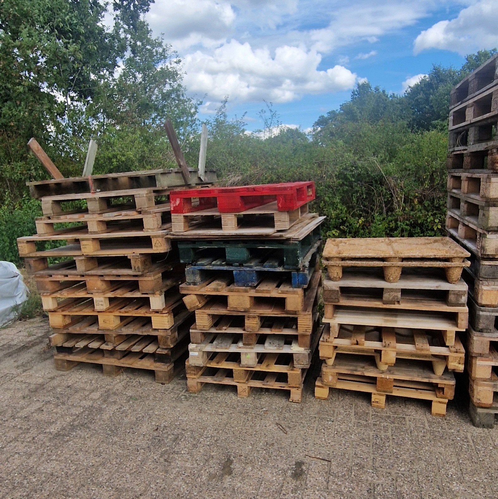Gratis pallets, Ophalen, Overige houtsoorten