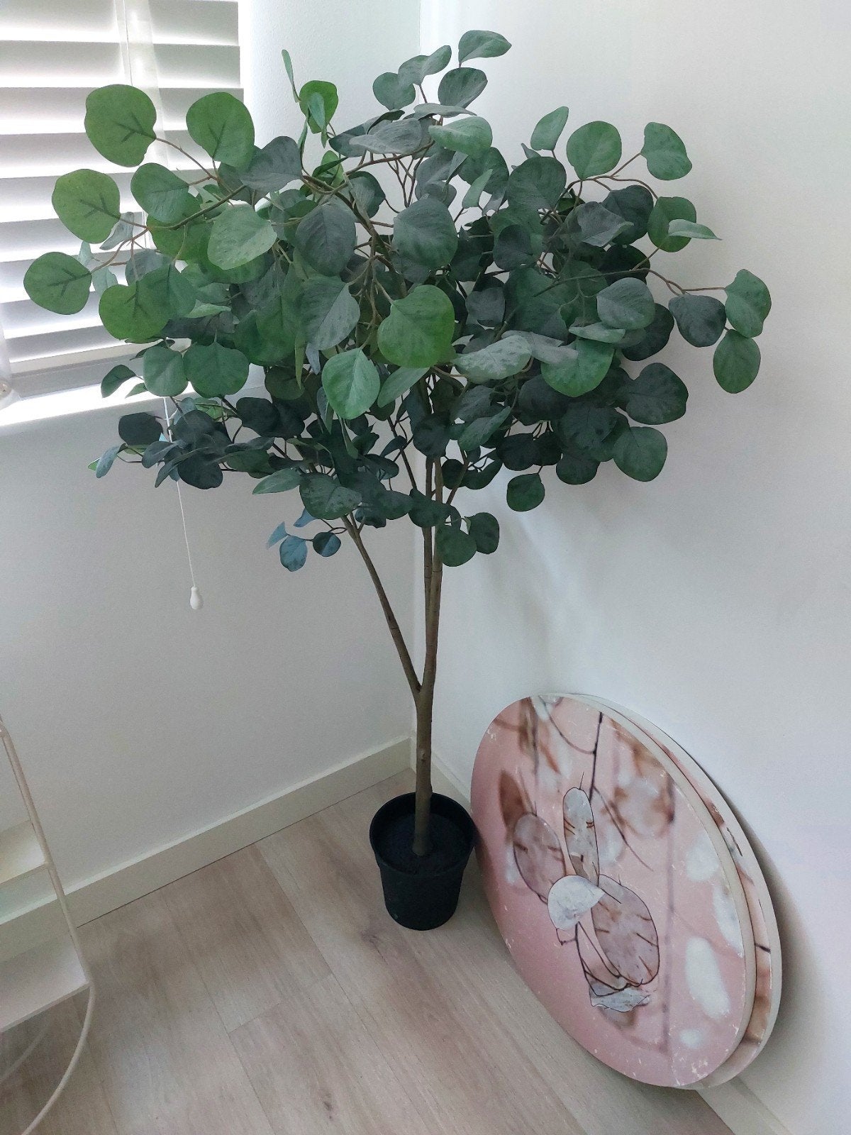 Mooie kunstplant - Eucalyptus boom, Ophalen, Binnen, Groen, Onderhoudsvrij