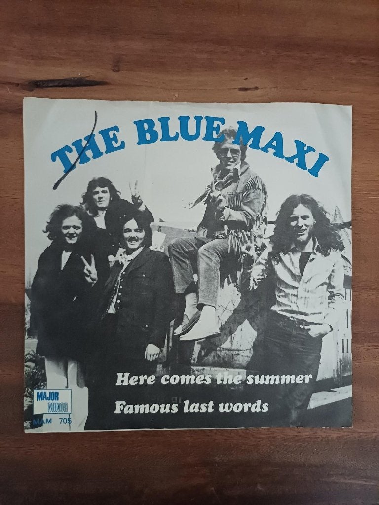 The Blue Maxi - Here Comes the Summer - Single - Vinyl, Ophalen of Verzenden, Gebruikt