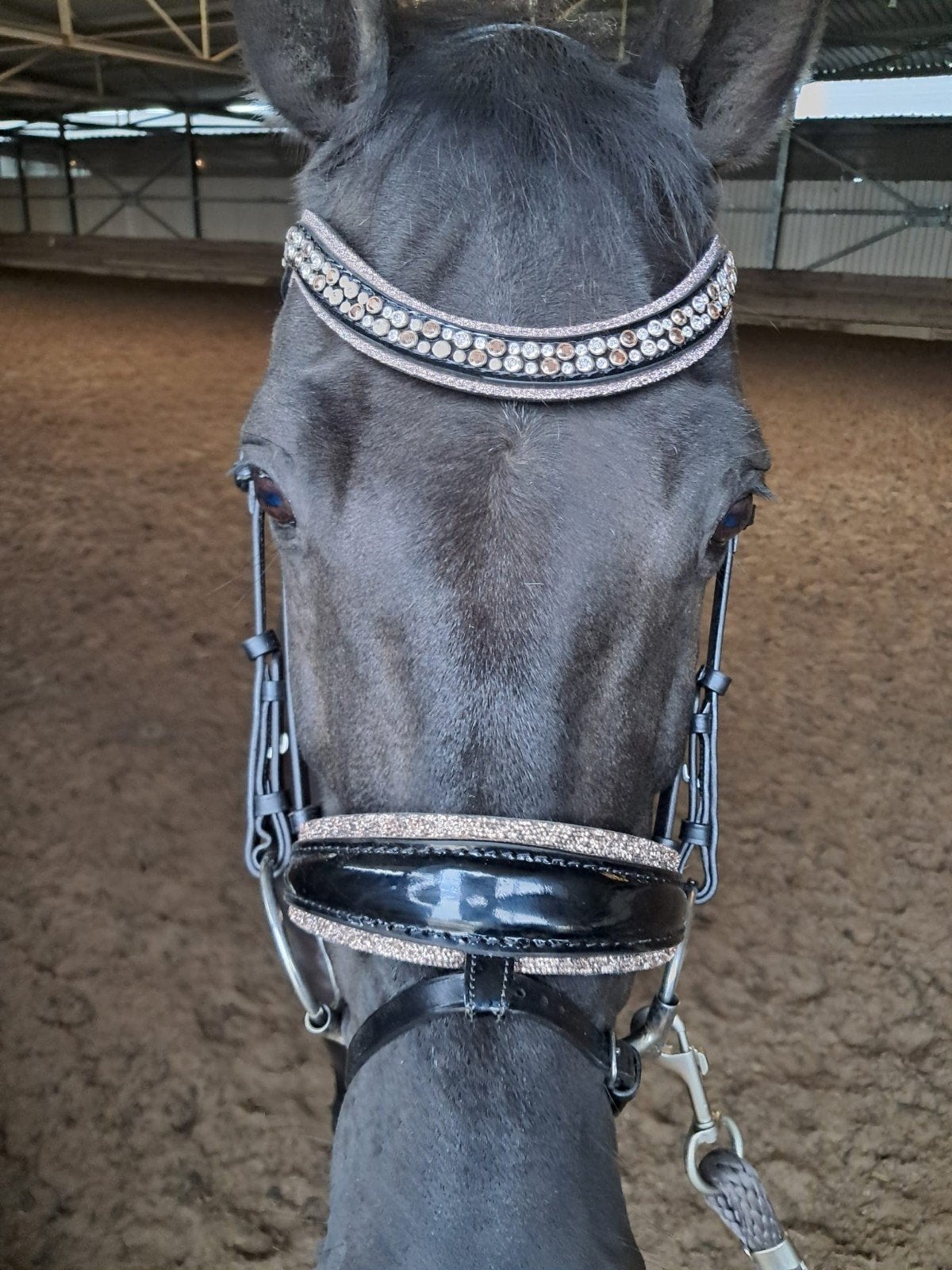 Monère equestrian hoofdstel, Ophalen of Verzenden, Zo goed als nieuw
