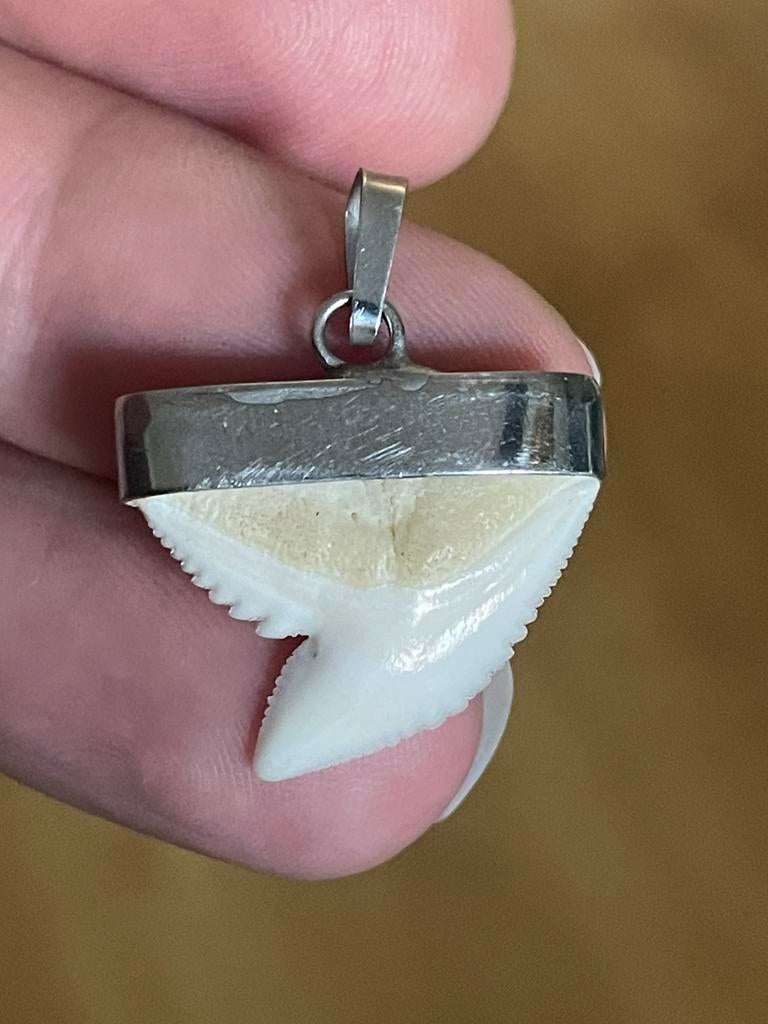 Zilveren vintagehanger met haaientand, Ophalen of Verzenden, Zo goed als nieuw, Nvt, Nvt